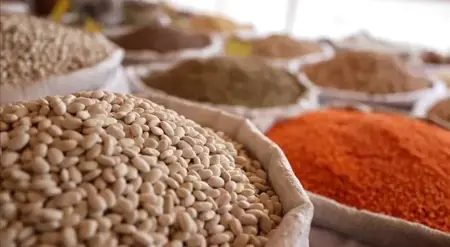 تركيا تصدر حبوب وبقول وبذور زيتية بقيمة 7.1 مليار دولار خلال 7 أشهر