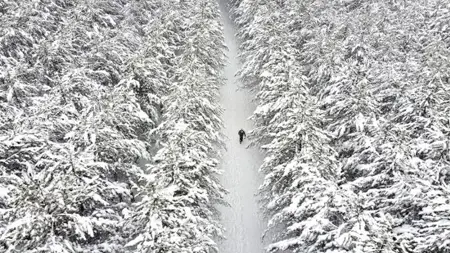 ثلوج وأمطار وانخفاض مفاجئ في درجات الحرارة.. توقعات الطقس في أنقرة واسطنبول ومدن الزلازل ثلوج وأمطار وانخفاض مفاجئ في درجات الحرارة.. توقعات الطقس في أنقرة واسطنبول ومدن الزلازل