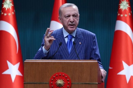 أردوغان يقدم شكوى جنائية ضد سياسي ألماني وصفه بعبارة غير لائقة