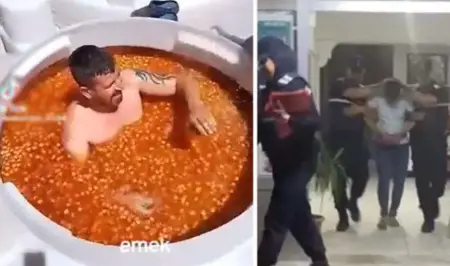 فضيحة في منشأة لعصر الزيتون في تركيا  فضيحة في منشأة لعصر الزيتون في تركيا