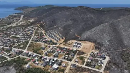 مساعدات عاجلة وسكن بالحاويات للمتضررين من حرائق الغابات في تركيا مساعدات عاجلة وسكن بالحاويات للمتضررين من حرائق الغابات في تركيا