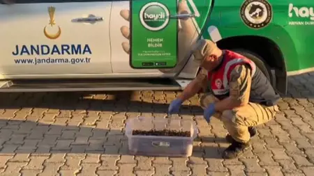 فرض غرامة مالية باهظة على شخص جمع العقارب الحية بولاية شانلي أورفا التركية فرض غرامة مالية باهظة على شخص جمع العقارب الحية بولاية شانلي أورفا التركية