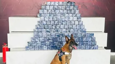 "على متن حافلة ركاب".. اعتقال عصابة تجار مخدرات وضبط 76 كيلو من الهيروين في كوجالي "على متن حافلة ركاب".. اعتقال عصابة تجار مخدرات وضبط 76 كيلو من الهيروين في كوجالي