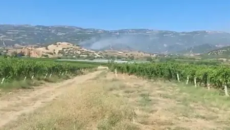 حريق أعشاب في مانيسا التركية يمتد إلى الغابات المجاورة