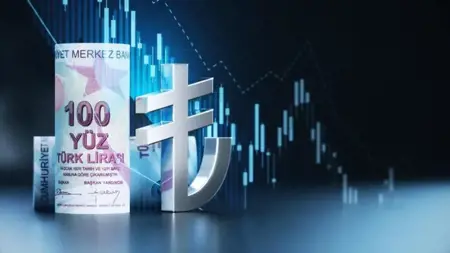 الليرة التركية تتحول إلى ملاذ المستثمرين.. وحصتها من الودائع تبلغ ذروة 11 عاماً