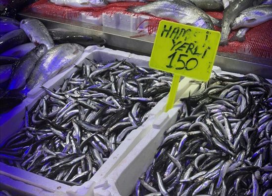 الهامسي في تركيا اليوم بـ150 ليرة للكيلو –أسعار باقي الأسماك