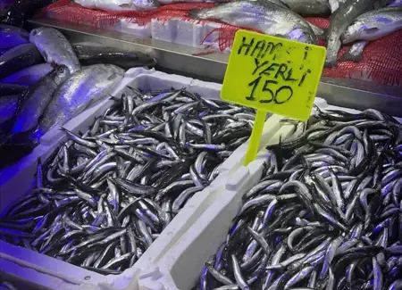 الهامسي في تركيا اليوم بـ150 ليرة للكيلو –أسعار باقي الأسماك