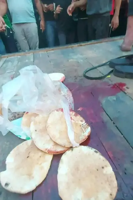 صادم: قوات الاحتلال الإسرائيلي تطلق النار على 300 شخصًا كانوا يحاولون شراء الخبز صادم: قوات الاحتلال الإسرائيلي تطلق النار على 300 شخصًا كانوا يحاولون شراء الخبز