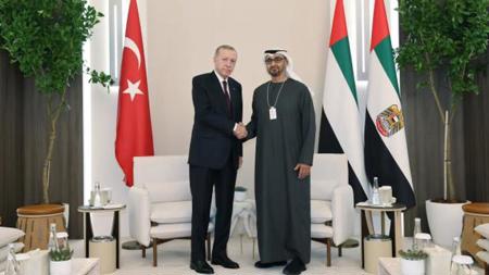 أردوغان يبحث مع رئيس الإمارات جهود مكافحة الإرهاب وعملية "تركيا بلا إرهاب"
