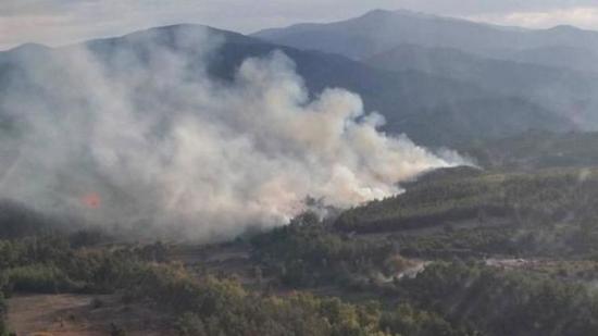 السيطرة على حريق غابات في كوتاهية غربي تركيا