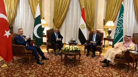 اجتماع القاهرة يجمع وزراء خارجية تركيا ومصر والسعودية وباكستان