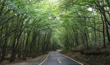 حظر دخول الغابات بالعاصمة التركية أنقرة حظر دخول الغابات بالعاصمة التركية أنقرة