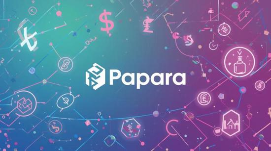 Papara تبدأ إعادة المبالغ بعد إلغاء التراخيص