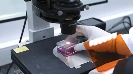 وزير الصحة التركي يزف بشرى سارة لأهالي إسطنبول  وزير الصحة التركي يزف بشرى سارة لأهالي إسطنبول