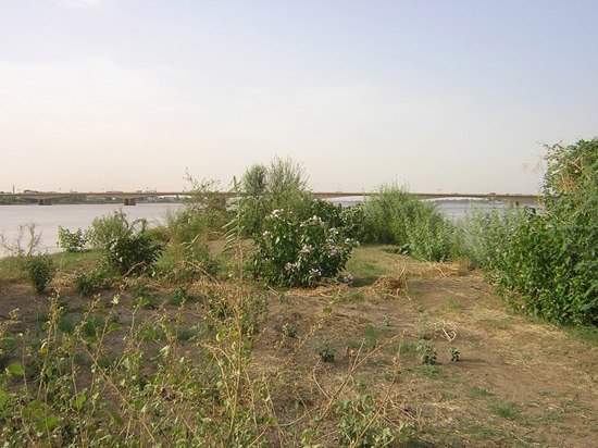 الصليب الأحمر يحذّر من اتّساع أزمة المفقودين في السودان