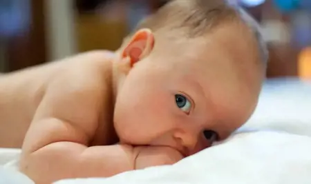 أكثر من 937 ألف مولود في تركيا خلال 2024 أكثر من 937 ألف مولود في تركيا خلال 2024