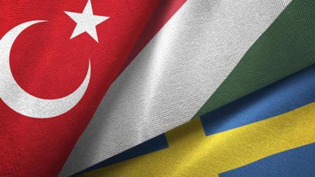 المجر تواصل المحادثات مع تركيا بشأن عضوية السويد في الناتو