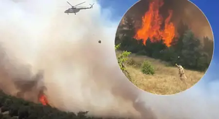 حريق غابات في كهرمان مرعش وعثمانية يستنفر فرق الإطفاء