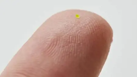 حقيبة يد بحجم حبة الملح تباع بسعر 63 ألف دولار حقيبة يد بحجم حبة الملح تباع بسعر 63 ألف دولار