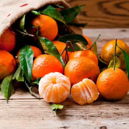 مكاسب تصدير المندلينا 3 وجهات في القمة