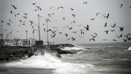 في ثاني أيام العيد .. تحذير لسكان إسطنبول: أمطار غزيرة قادمة  في ثاني أيام العيد .. تحذير لسكان إسطنبول: أمطار غزيرة قادمة
