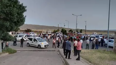 نحلة تودي بحياة راعي في بينغول التركية نحلة تودي بحياة راعي في بينغول التركية