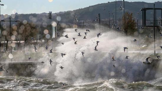 محافظ إسطنبول يحذر من عاصفة قوية تضرب المدينة
