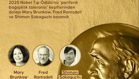 جائزة نوبل للطب 2025 تذهب إلى مكتشفي سر "تحمّل المناعة المحيطية" جائزة نوبل للطب 2025 تذهب إلى مكتشفي سر "تحمّل المناعة المحيطية"