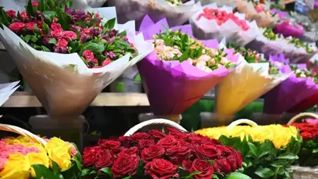 حين تتحوّل رائحة الزهور إلى صداع.. طبيبة تكشف المحفّزات الخفية
