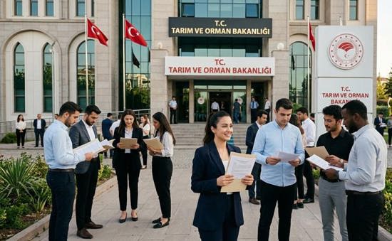 تركيا تعلن 1874 فرصة عمل جديدة.. وفتح باب التقديم قريبًا