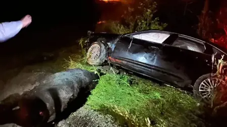 إصابة بهادير يني شهيرلي أوغلو بجروح في حادث مروري بولاية أفيون قره حصار إصابة بهادير يني شهيرلي أوغلو بجروح في حادث مروري بولاية أفيون قره حصار