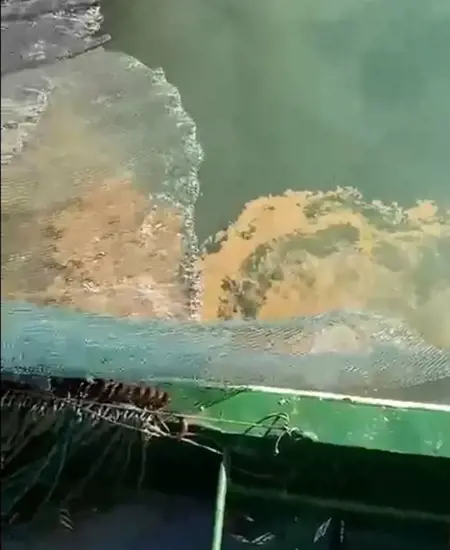 المُسَلَّاج يظهر مبكرًا في مرمرة ويهدد موسم الصيد المُسَلَّاج يظهر مبكرًا في مرمرة ويهدد موسم الصيد