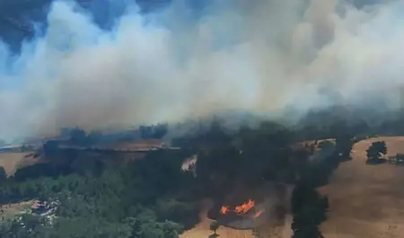 أفاد تصدر بياناً هاماً حول حريق غابات جناق قلعة أفاد تصدر بياناً هاماً حول حريق غابات جناق قلعة