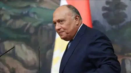 مصر: لا حديث عن مستقبل غزة قبل وقف إطلاق النار مصر: لا حديث عن مستقبل غزة قبل وقف إطلاق النار