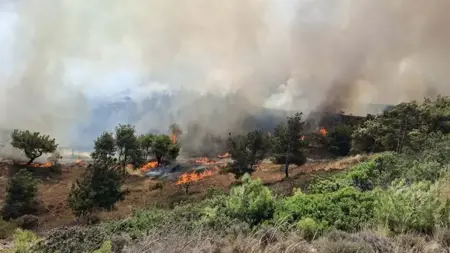 اندلاع حريق في أرض زراعية بولاية تشاناكالي التركية اندلاع حريق في أرض زراعية بولاية تشاناكالي التركية