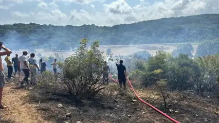 إخماد حريق غابة في كركلار إيلي بعد جهود مكثفة من فرق الإطفاء إخماد حريق غابة في كركلار إيلي بعد جهود مكثفة من فرق الإطفاء