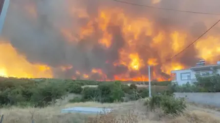 حريق ضخم في تكيرداغ يمتد من الأراضي الزراعية إلى الغابات حريق ضخم في تكيرداغ يمتد من الأراضي الزراعية إلى الغابات