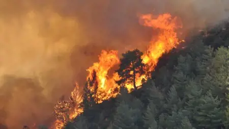 مرسين تشتعل: حرائق الغابات تجبر على إخلاء 984 منزلًا وإصابة 17 شخصًا في سليفكي وأنامور مرسين تشتعل: حرائق الغابات تجبر على إخلاء 984 منزلًا وإصابة 17 شخصًا في سليفكي وأنامور
