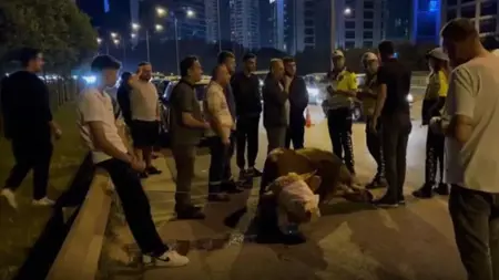 عجل أضحية يقفز من شاحنة ويكسر ساقه في إسطنبول