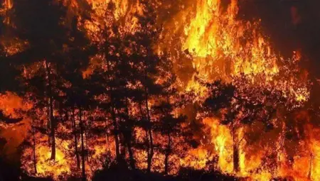 السيطرة على حرائق الغابات في ألانيا وموغلا… الوزير يعلن التحديث الأخير السيطرة على حرائق الغابات في ألانيا وموغلا… الوزير يعلن التحديث الأخير