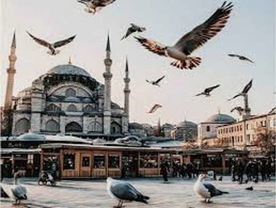 كيف تستمتع بربيع وصيف تركيا بأقل التكاليف؟