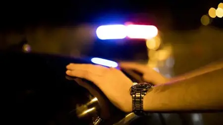 القبض على 438 شخصًا بأوامر تفتيش واعتقال في فان القبض على 438 شخصًا بأوامر تفتيش واعتقال في فان