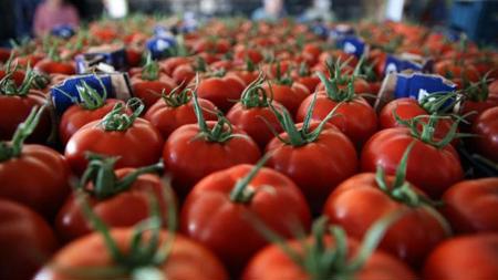 صادرات الخضروات التركية تسجّل ارتفاعاً بنسبة 10% في النصف الأول من 2025
