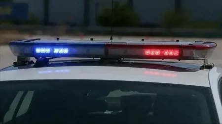 إحباط شبكة احتيال بملايين الليرات في هذه الولاية التركية إحباط شبكة احتيال بملايين الليرات في هذه الولاية التركية