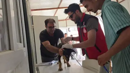 عاجل:أربعة أحياء في هاتاي تحت الحجر الصحي لهذا السبب عاجل:أربعة أحياء في هاتاي تحت الحجر الصحي لهذا السبب