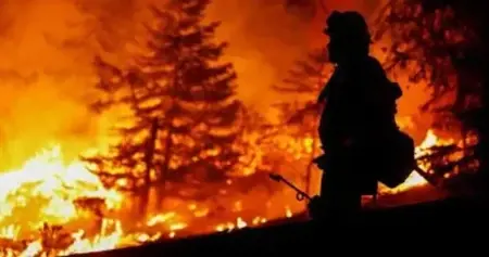 تركيا.. اندلاع حريق غابات ضخم في منطقة كوندو بأنطاليا بتاريخ 19 سبتمبر 2025 تركيا.. اندلاع حريق غابات ضخم في منطقة كوندو بأنطاليا بتاريخ 19 سبتمبر 2025