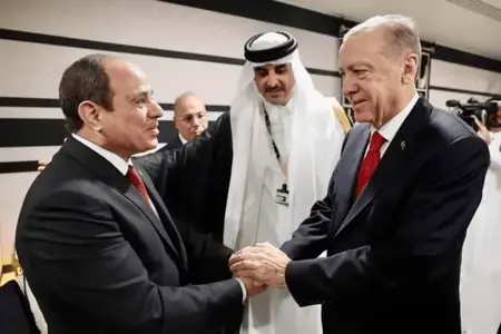 أردوغان والسيسي يتفقان على رفع مستوى العلاقات الدبلوماسية وتبادل السفراء أردوغان والسيسي يتفقان على رفع مستوى العلاقات الدبلوماسية وتبادل السفراء