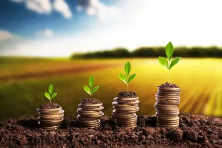 لماذا تعد تركيا من البلدان الرائدة في مجال الاستثمار الزراعي؟ لماذا تعد تركيا من البلدان الرائدة في مجال الاستثمار الزراعي؟