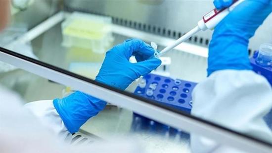 باحثون أتراك يطوّرون نموذج ذكاء اصطناعي يشخّص الحمل خارج الرحم بدقة 99%