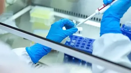 باحثون أتراك يطوّرون نموذج ذكاء اصطناعي يشخّص الحمل خارج الرحم بدقة 99%